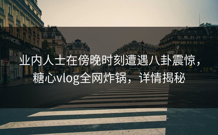 业内人士在傍晚时刻遭遇八卦震惊，糖心vlog全网炸锅，详情揭秘