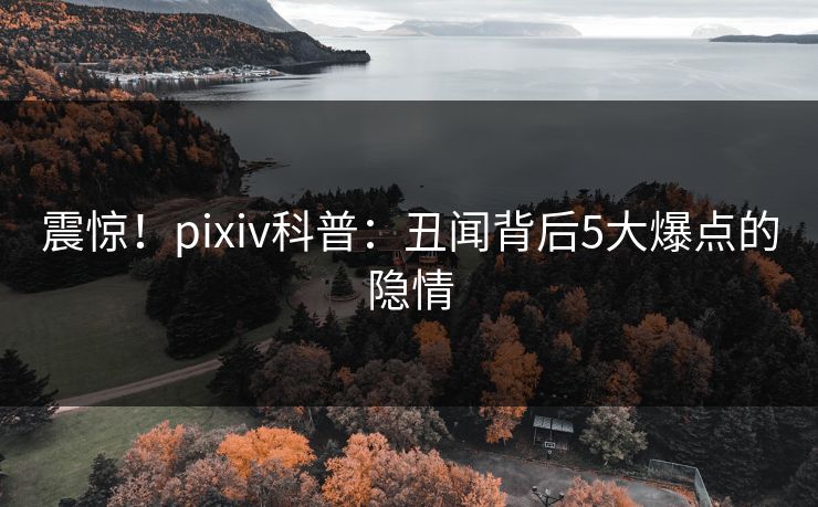 震惊！pixiv科普：丑闻背后5大爆点的隐情