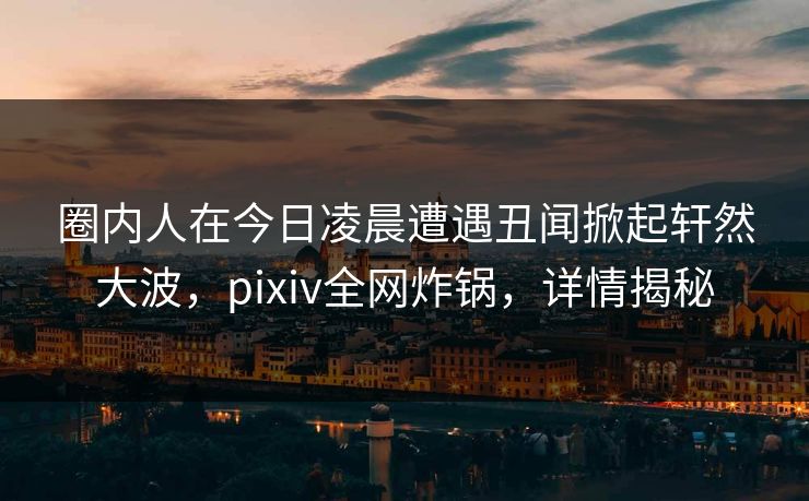 圈内人在今日凌晨遭遇丑闻掀起轩然大波，pixiv全网炸锅，详情揭秘