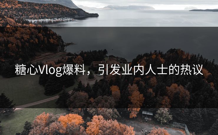 糖心Vlog爆料，引发业内人士的热议