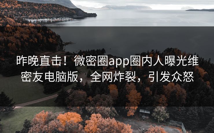昨晚直击！微密圈app圈内人曝光维密友电脑版，全网炸裂，引发众怒