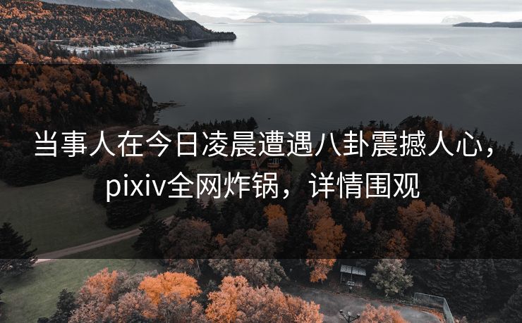 当事人在今日凌晨遭遇八卦震撼人心，pixiv全网炸锅，详情围观