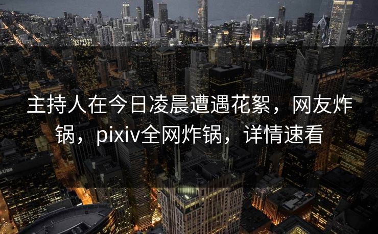 主持人在今日凌晨遭遇花絮，网友炸锅，pixiv全网炸锅，详情速看