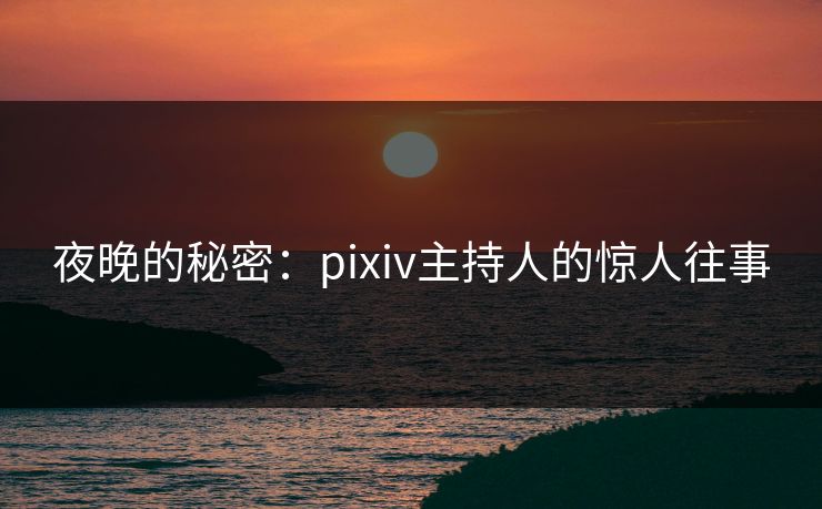 夜晚的秘密：pixiv主持人的惊人往事