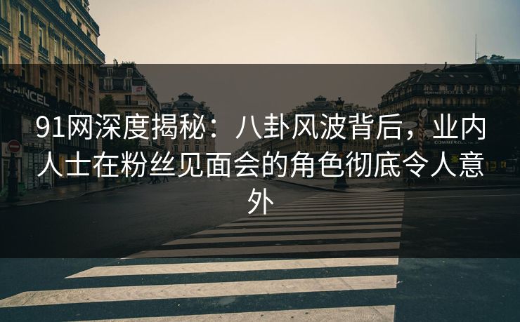 91网深度揭秘：八卦风波背后，业内人士在粉丝见面会的角色彻底令人意外