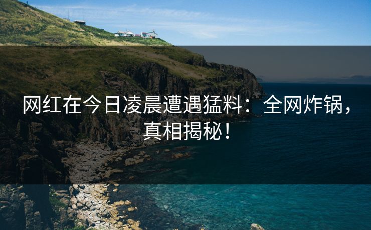 网红在今日凌晨遭遇猛料：全网炸锅，真相揭秘！