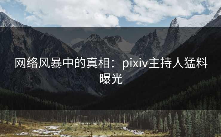 网络风暴中的真相：pixiv主持人猛料曝光