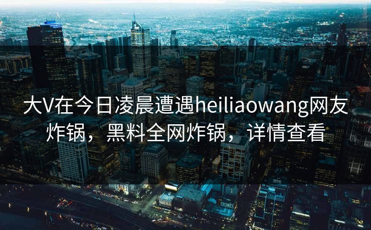 大V在今日凌晨遭遇heiliaowang网友炸锅，黑料全网炸锅，详情查看