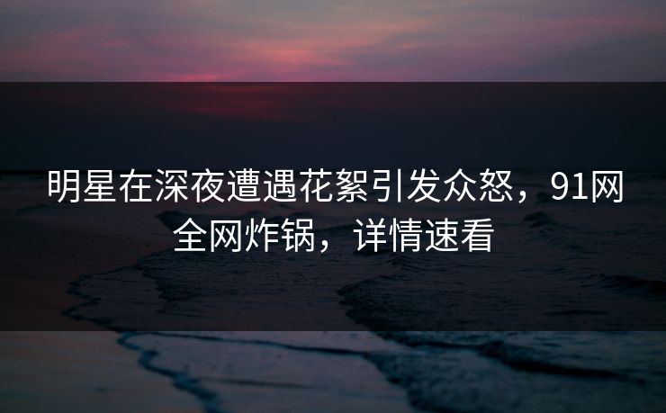 明星在深夜遭遇花絮引发众怒，91网全网炸锅，详情速看