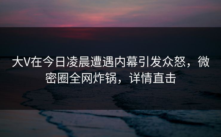 大V在今日凌晨遭遇内幕引发众怒，微密圈全网炸锅，详情直击